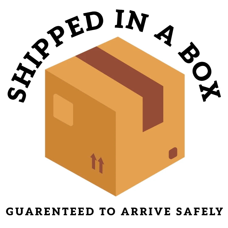 STRAW COWBOY HAT Men & Woman Adult Size - Black with Longhorn Accent